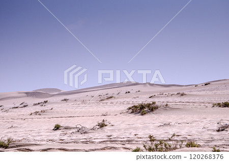 Barren desert landscape with sand dunes Barren desert landscape with sand dunes 120268376