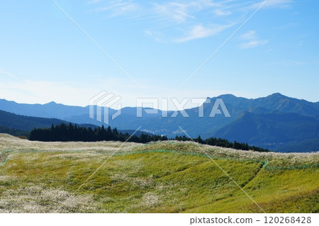 索尼高原薄野田野上的國見山【11月】 120268428