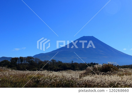 Mt. Fuji in autumn 120268660