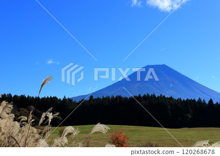 Mt. Fuji in autumn Mt. Fuji in autumn 120268678