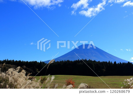 Mt. Fuji in autumn 120268679