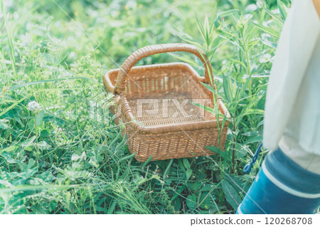 Flower picking basket Flower picking basket 120268708