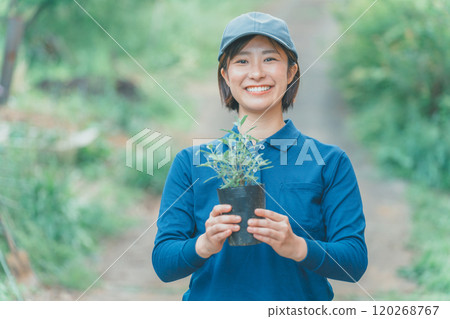A female flower farmer holding flower seedlings A female flower farmer holding flower seedlings 120268767