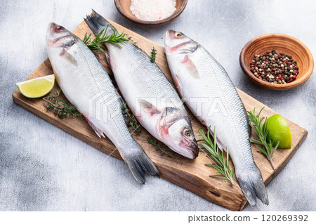 Raw sea bass fish photography . Top view Raw sea bass fish photography . Top view 120269392
