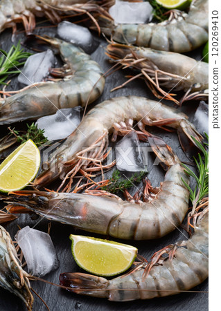 Raw big tiger ( king ) shrimps photography . Top view 120269410