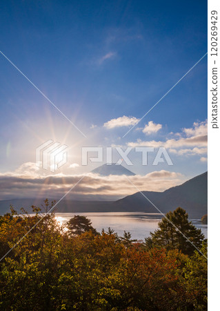 [山梨縣]本棲湖畔的紅葉、富士山和陽光 120269429