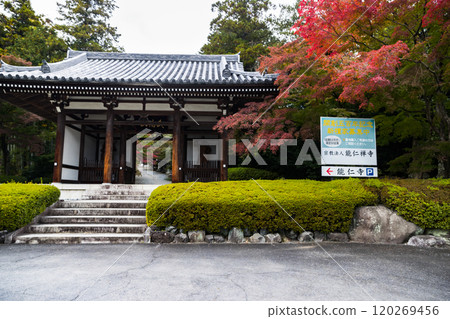 埼玉縣飯能市乃仁寺山門 埼玉縣飯能市乃仁寺山門 120269456