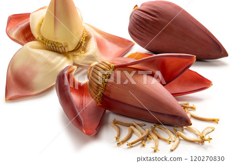 香蕉花蕾 120270830