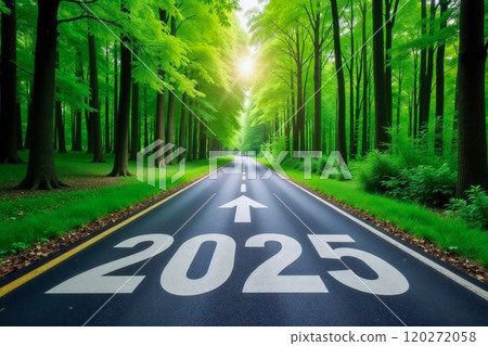 Road to 2025 Through Lush Green Forest Road to 2025 Through Lush Green Forest 120272058