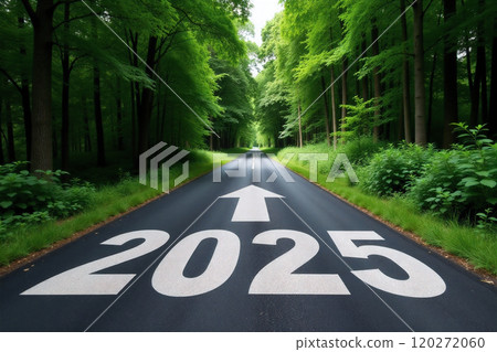 Road to 2025 Through Lush Green Forest 120272060