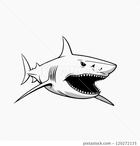 Aggressive Shark Illustration in Bold Line Art Style 120272135