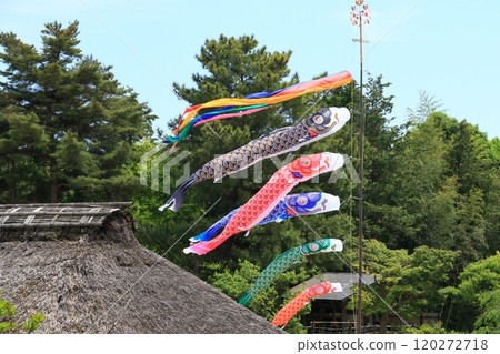 鯉魚stream在藍藍的天空中游泳 鯉魚stream在藍藍的天空中游泳 120272718