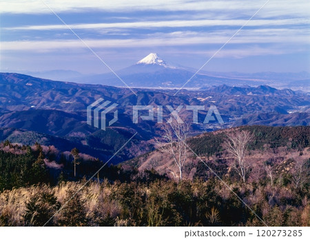 從靜岡縣伊豆市天城的岩尾林道看到的富士山 120273285