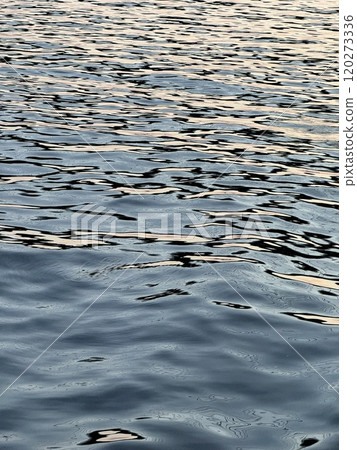 Rippling Water Surface Reflecting Soft Evening Light 120273336