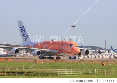 Flying Honu Airbus A380 Unit 3 Flying Honu Airbus A380 Unit 3 120273534