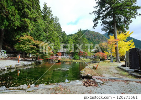 The magnificent autumn scenery of "Ryusenji Temple on Mount Omine" [Dorogawa, Tenkawa Village, Nara Prefecture] 120273561