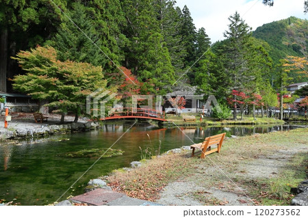 大峰山龍泉寺的壯麗秋景【奈良縣天川村道川】 120273562
