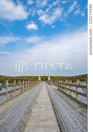 通往十三湖中之島大橋公園的橋樑 通往十三湖中之島大橋公園的橋樑 120273588