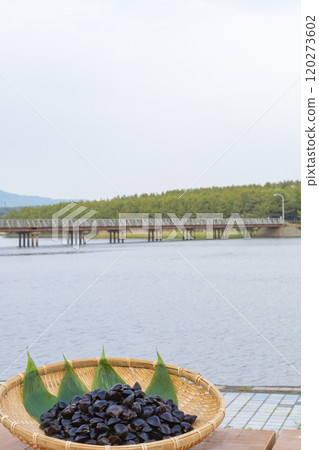 Corbicula shellfish of Lake Jusan Corbicula shellfish of Lake Jusan 120273602