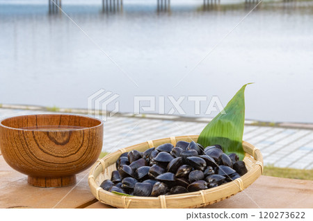 Shijimi clam and shijimi shellfish miso soup Shijimi clam and shijimi shellfish miso soup 120273622