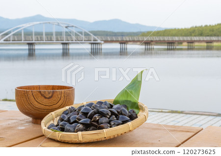 蛤蜊和淡水蛤蜊味噌湯 蛤蜊和淡水蛤蜊味噌湯 120273625