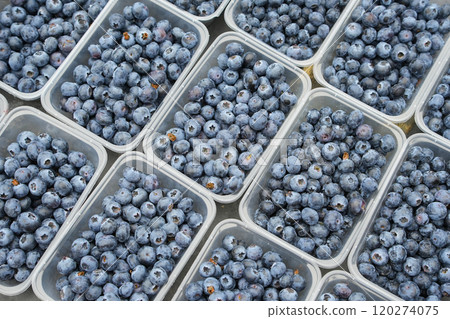 plastic containers with fresh blueberries plastic containers with fresh blueberries 120274075