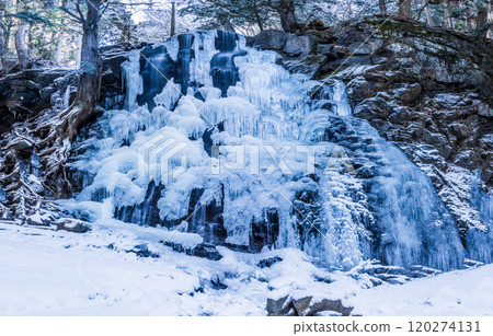 Mother's Shirataki icefall 120274131