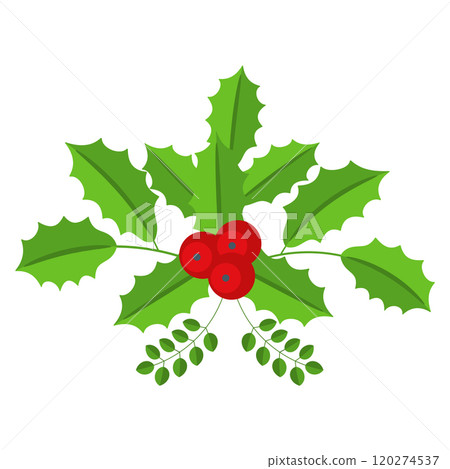 Christmas floral border. Spruce evergreen branch, poinsettia and holly berry 120274537