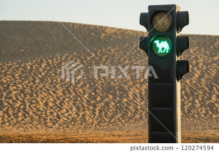 Camel traffic light in the desert Camel traffic light in the desert 120274594