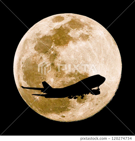 月丼形象 120274734