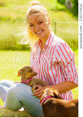 Woman playing with little dogs outside Woman playing with little dogs outside 120274828