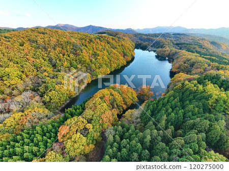 Aerial view of Lake Choro in early autumn Aerial view of Lake Choro in early autumn 120275000