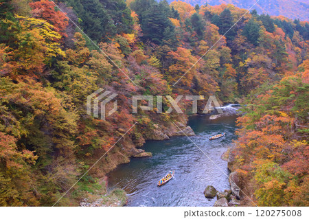 Nikko City Kinugawa Onsen Autumn leaves and boat ride along the Kinugawa River Nikko City Kinugawa Onsen Autumn leaves and boat ride along the Kinugawa River 120275008