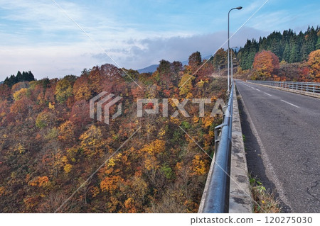 The autumn leaves of the Nabekura Plateau and Uhiro Bridge in Nagano Prefecture The autumn leaves of the Nabekura Plateau and Uhiro Bridge in Nagano Prefecture 120275030