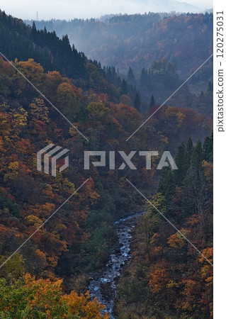 Nabekura Plateau in Nagano Prefecture dyed in autumn leaves Nabekura Plateau in Nagano Prefecture dyed in autumn leaves 120275031