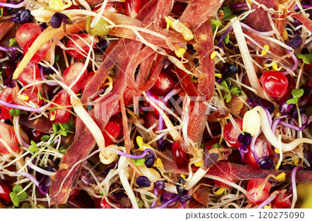 Vegan sprouts salad. Vegan sprouts salad. 120275090