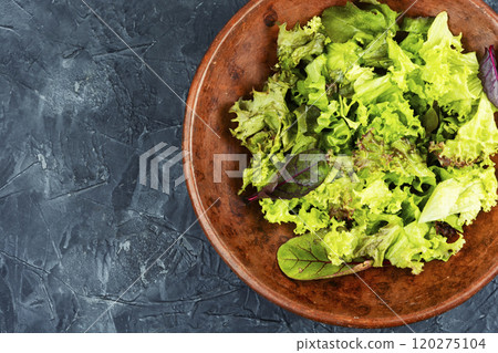 Fresh colorful spring salad Fresh colorful spring salad 120275104