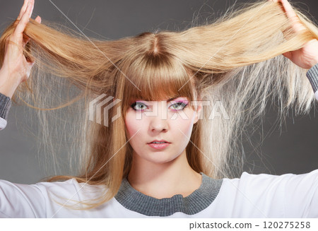 Damaged dry hair. Woman holding hands long hair. Damaged dry hair. Woman holding hands long hair. 120275258