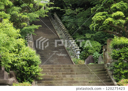 Large stone steps and stone lantern Large stone steps and stone lantern 120275423