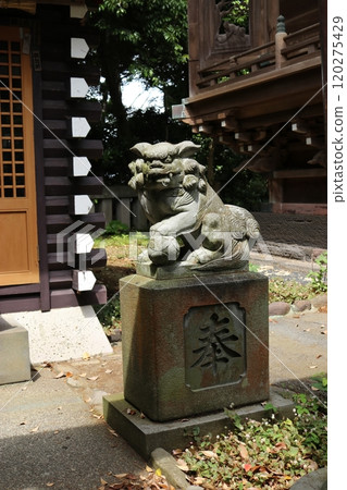 Guardian dog Guardian dog 120275429