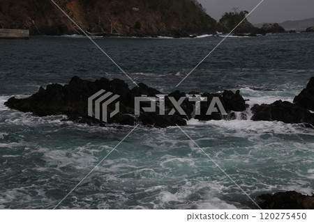 The giant pot 120275450