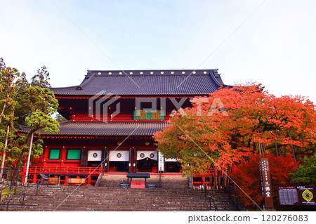 Nikko City, Nikkosan Rinnoji Temple, Sanbutsudo Hall and Autumn leaves of Kongo Cherry Blossoms Nikko City, Nikkosan Rinnoji Temple, Sanbutsudo Hall and Autumn leaves of Kongo Cherry Blossoms 120276083