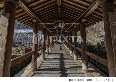 奈良Hasekoji 奈良Hasekoji 120276105