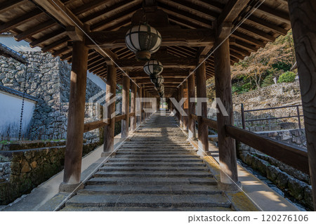 奈良Hasekoji 奈良Hasekoji 120276106