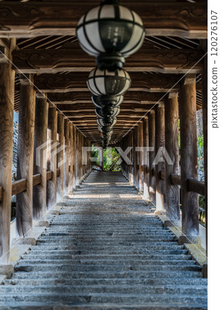 Nara Hasekoji Nara Hasekoji 120276107