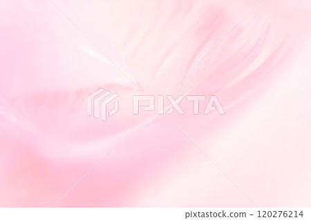 羽毛/蓬鬆背景材料 120276214