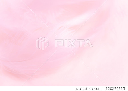 羽毛/蓬鬆背景材料 羽毛/蓬鬆背景材料 120276215