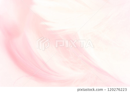 羽毛/蓬鬆背景材料 120276223