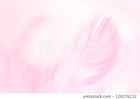 Feathers and fluffy background material 120276232