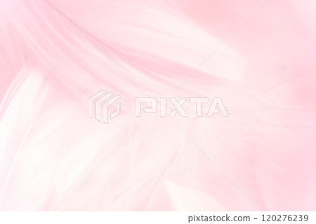 Feathers and fluffy background material 120276239